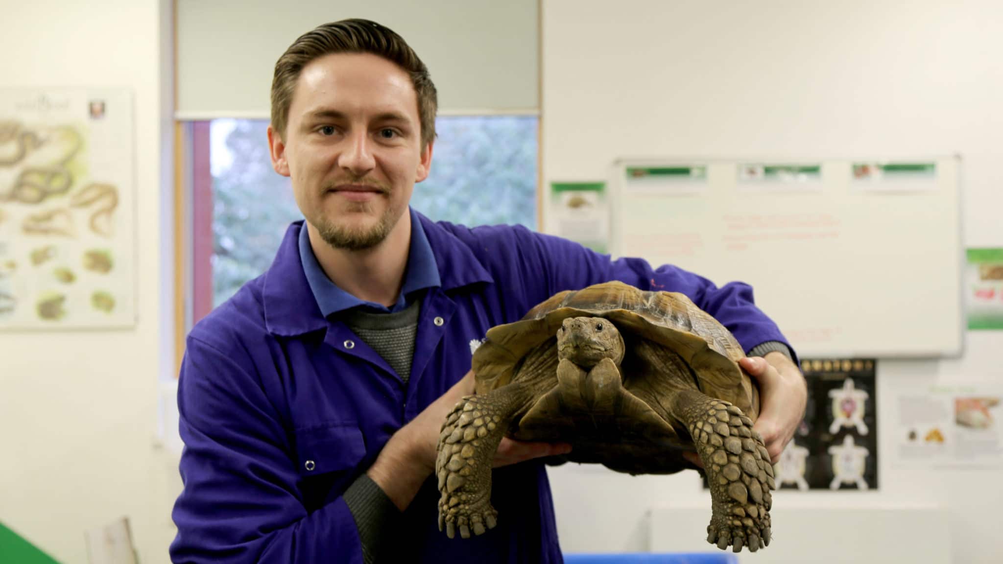 Jamie holds tortoise