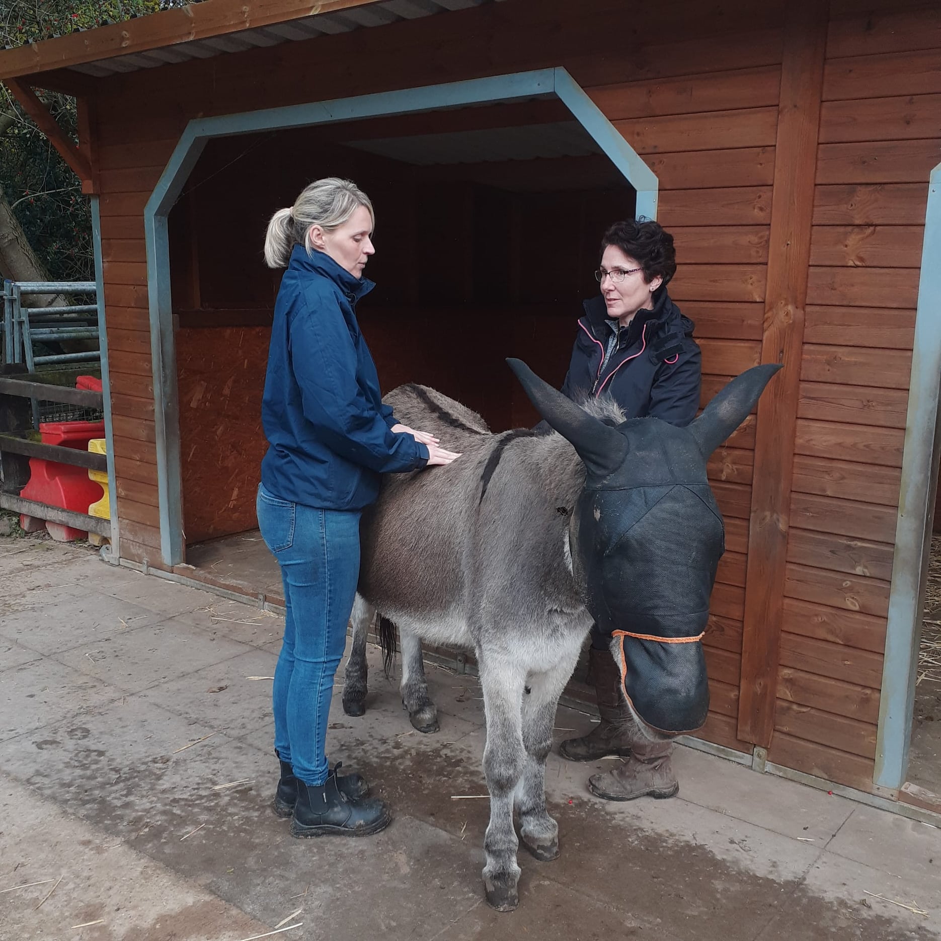 Solihull College staff with a donkey