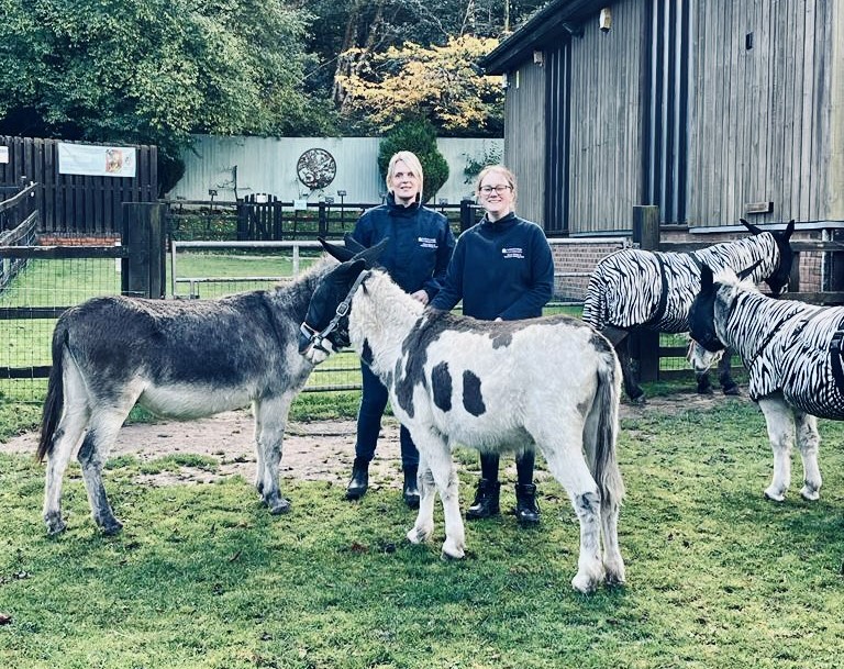 Animal Welfare team top up training at Donkey sanctuary