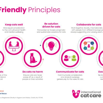 Cat friendly principles infographic