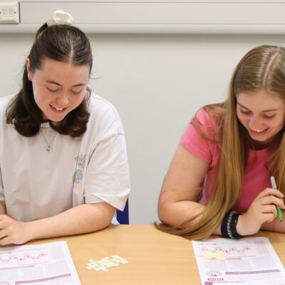 College cat expert delivers feline masterclass - jigsaw activity